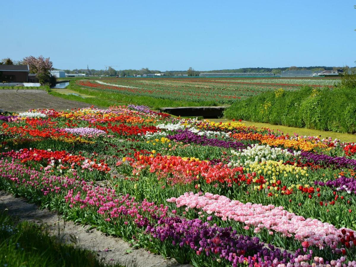 Fresh And Colorful Holiday Home Near The Beach Sea Dunes And Lake Noordwijkerhout Exteriér fotografie
